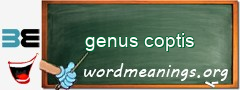 WordMeaning blackboard for genus coptis